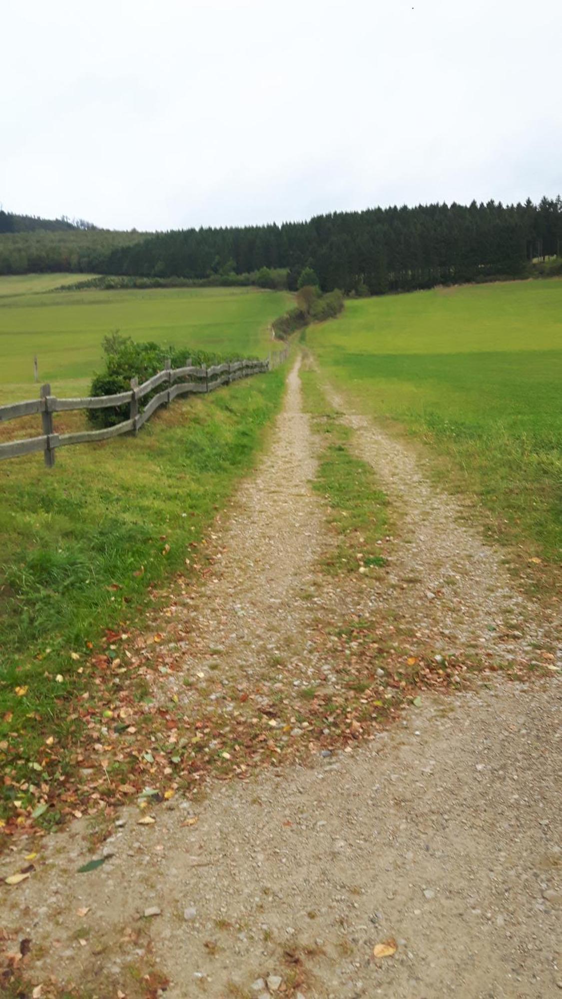 Landhaus Im Grund 호텔 레네슈타트 외부 사진